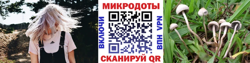 OMG как войти  Бийск  Псилоцибиновые грибы ЛСД 
